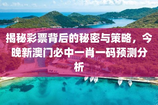 揭秘彩票背后的秘密与策略，今晚新澳门必中一肖一码预测分析