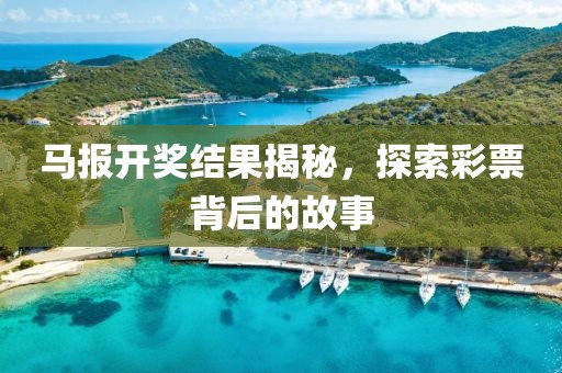 马报开奖结果揭秘，探索彩票背后的故事