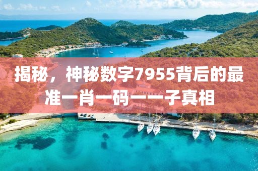 揭秘，神秘数字7955背后的最准一肖一码一一子真相