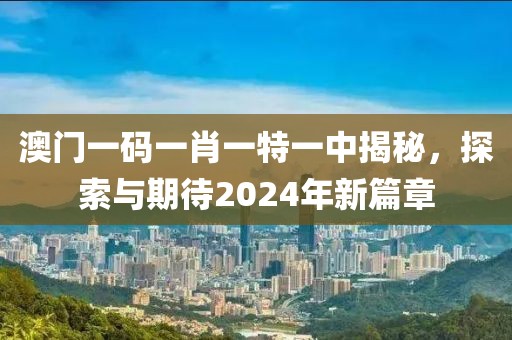 澳门一码一肖一特一中2024