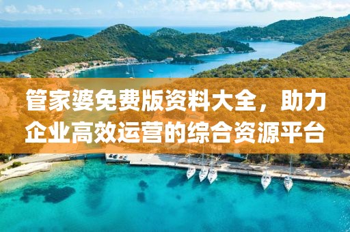 管家婆免费版资料大全，助力企业高效运营的综合资源平台