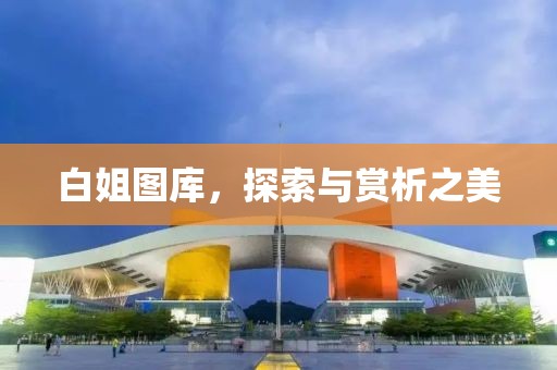 白姐图库，探索与赏析之美