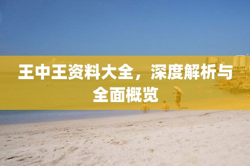 王中王资料大全，深度解析与全面概览