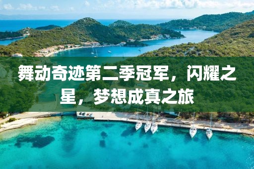 舞动奇迹第二季冠军，闪耀之星，梦想成真之旅