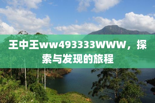 王中王ww493333WWW，探索与发现的旅程