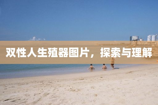双性人生殖器图片，探索与理解