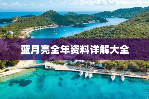 蓝月亮全年资料详解大全