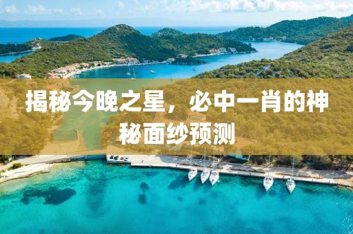 揭秘今晚之星，必中一肖的神秘面纱预测