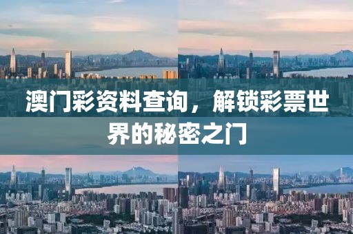澳门彩资料查询，解锁彩票世界的秘密之门