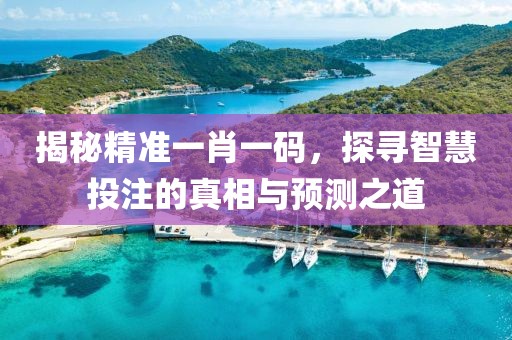揭秘精准一肖一码，探寻智慧投注的真相与预测之道
