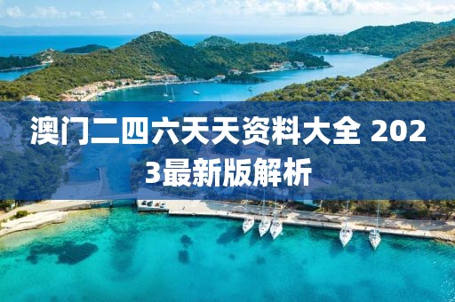 澳门二四六天天资料大全 2023最新版解析