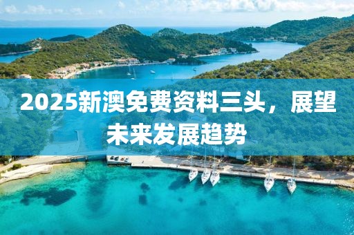 2025新澳免费资料三头，展望未来发展趋势