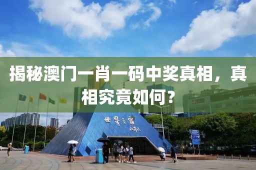 揭秘澳门一肖一码中奖真相，真相究竟如何？