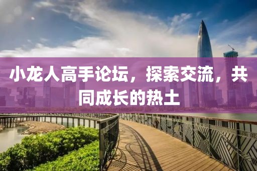 小龙人高手论坛，探索交流，共同成长的热土