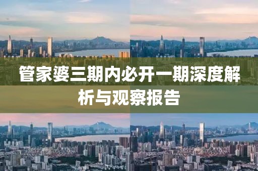 管家婆三期内必开一期深度解析与观察报告