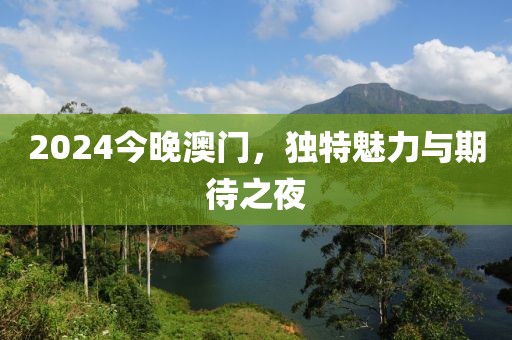 2024今晚澳门
