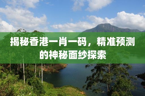 香港一肖一码100准确