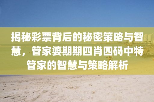 揭秘彩票背后的秘密策略与智慧，管家婆期期四肖四码中特管家的智慧与策略解析