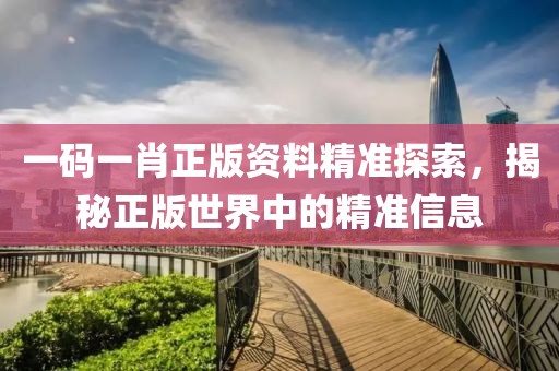 一码一肖正版资料精准探索，揭秘正版世界中的精准信息