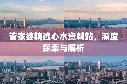 管家婆精选心水资料站，深度探索与解析