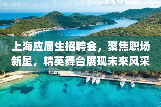 上海应届生招聘会，聚焦职场新星，精英舞台展现未来风采