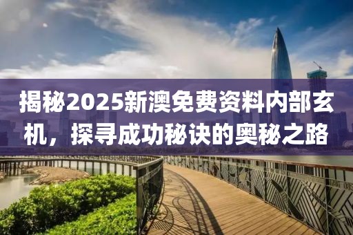 揭秘2025新澳免费资料内部玄机，探寻成功秘诀的奥秘之路