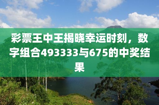 彩票王中王揭晓幸运时刻，数字组合493333与675的中奖结果