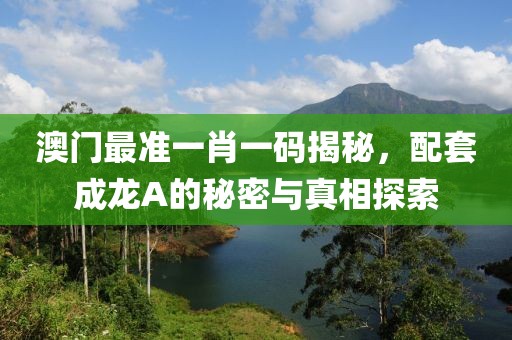 澳门最准一肖一码揭秘，配套成龙A的秘密与真相探索