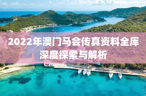 2022年澳门马会传真资料全库深度探索与解析