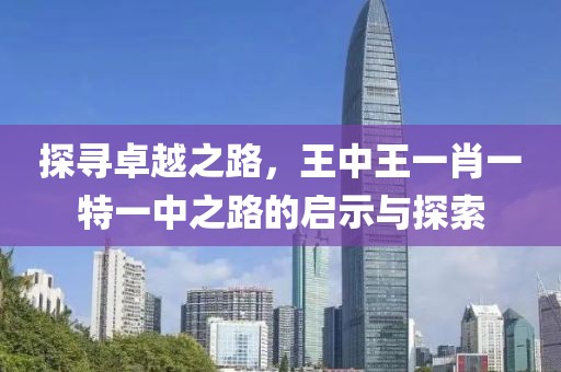 探寻卓越之路，王中王一肖一特一中之路的启示与探索