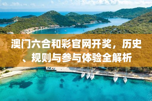 澳门六合和彩官网开奖，历史、规则与参与体验全解析
