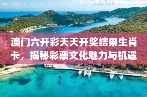 澳门六开彩天天开奖结果生肖卡，揭秘彩票文化魅力与机遇