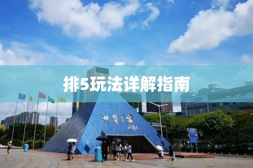 排5玩法详解指南