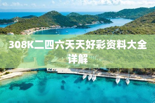 308K二四六天天好彩资料大全详解