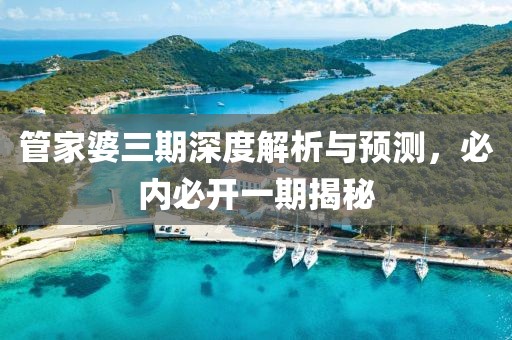 管家婆三期深度解析与预测，必内必开一期揭秘