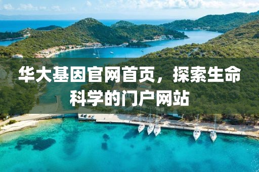 华大基因官网首页，探索生命科学的门户网站