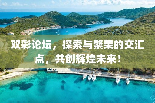 双彩论坛，探索与繁荣的交汇点，共创辉煌未来！