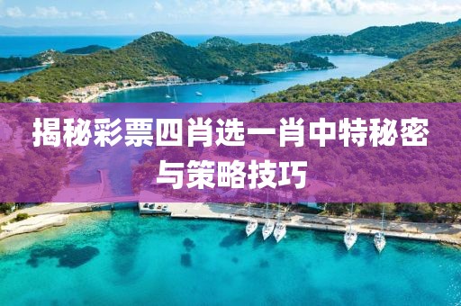 揭秘彩票四肖选一肖中特秘密与策略技巧
