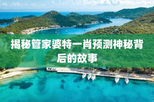 揭秘管家婆特一肖预测神秘背后的故事