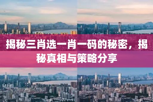 揭秘三肖选一肖一码的秘密，揭秘真相与策略分享