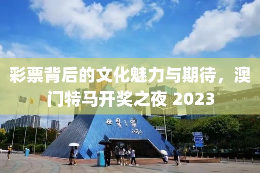 彩票背后的文化魅力与期待，澳门特马开奖之夜 2023
