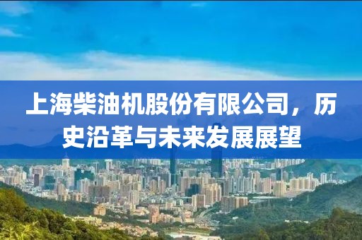 上海柴油机股份有限公司，历史沿革与未来发展展望