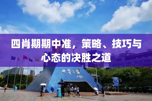 四肖期期中准，策略、技巧与心态的决胜之道