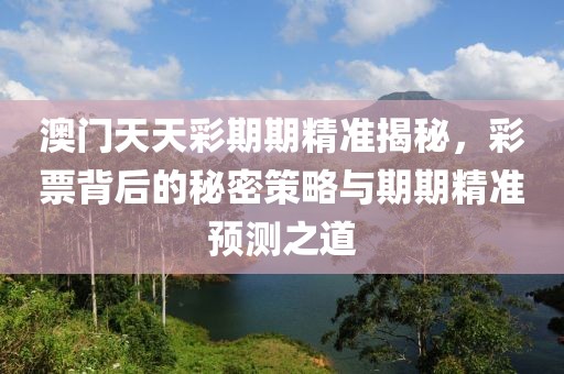 澳门天天彩期期精准揭秘，彩票背后的秘密策略与期期精准预测之道