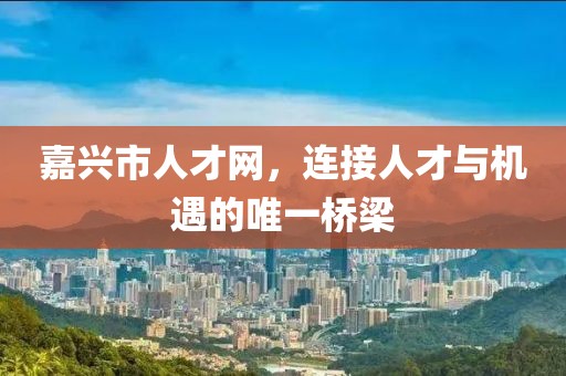 嘉兴市人才网，连接人才与机遇的唯一桥梁