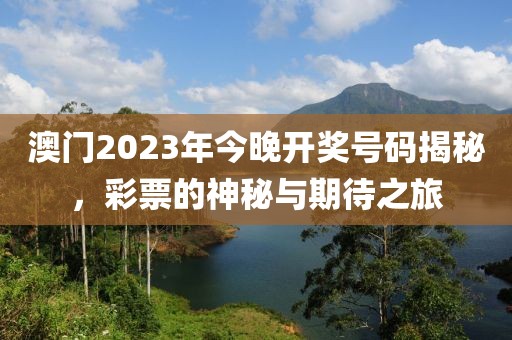 澳门2023年今晚开奖号码揭秘，彩票的神秘与期待之旅