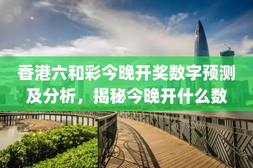 香港六和彩今晚开奖数字预测及分析，揭秘今晚开什么数