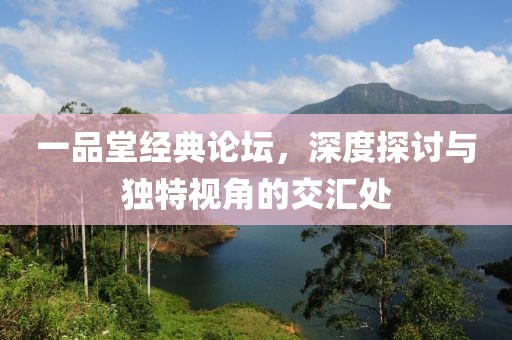 一品堂经典论坛，深度探讨与独特视角的交汇处