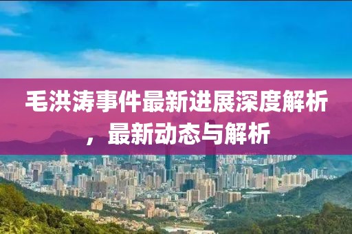 毛洪涛事件最新进展深度解析，最新动态与解析