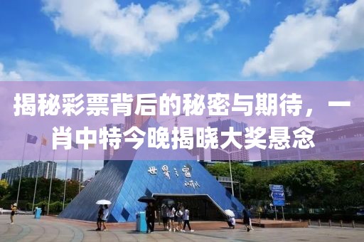 揭秘彩票背后的秘密与期待，一肖中特今晚揭晓大奖悬念